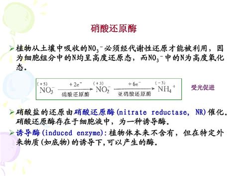 Topic 2.5 Enzymes 酶 - 知乎