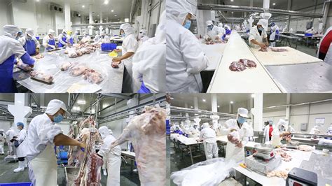 羊肉加工生产线_1920X1080_高清视频素材下载(编号:4981667)_实拍视频_VJ师网 www.vjshi.com