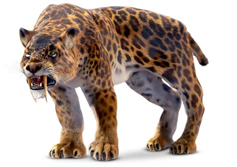 剑齿虎：史上最大的猫科动物之一 - 好汉科普