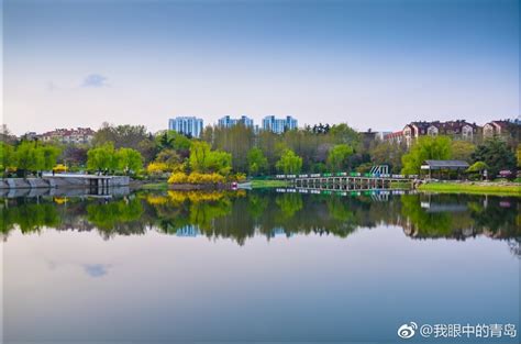 腊月暖阳下，李村公园的“冬日小美好”-青报网-青岛日报官网