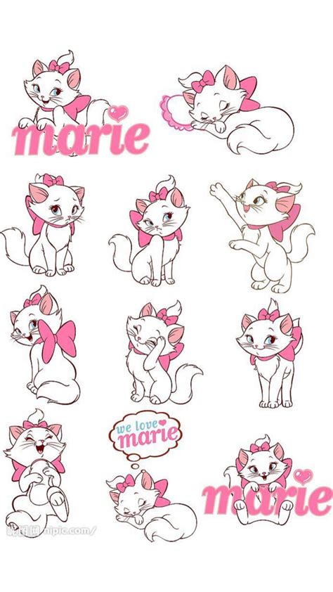 MarieCat~玛丽猫图片
