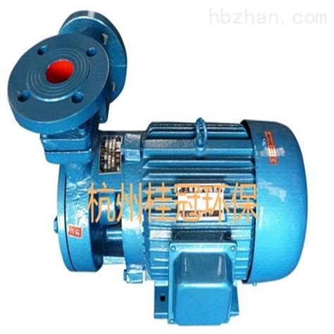 青海大型工业锅炉增压漩涡泵 化工旋涡泵-环保在线