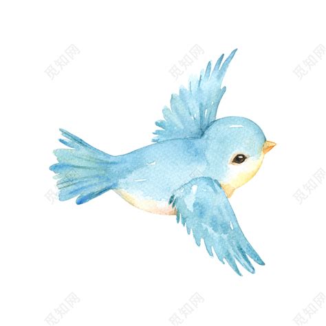 蓝色飞翔的卡通小鸟素材免费下载 - 觅知网