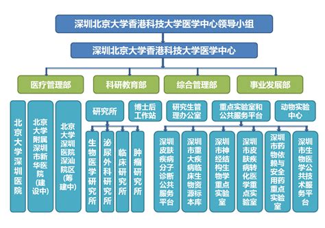 学生组织架构图（点击进入）-天津商业大学国际教育合作学院