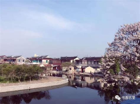 关于揭西县棉湖镇人民政府宅基地审批结果公示的通知