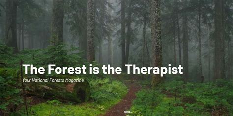 清新321世界森林日保护森林宣传公益海报图片下载 - 觅知网