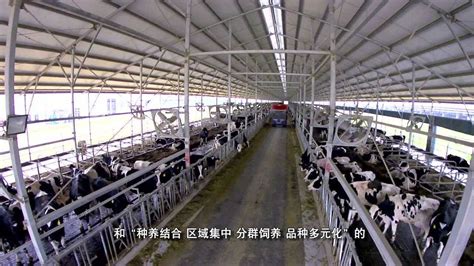 内蒙古蒙犇畜牧有限公司 - 合作伙伴 - 北京东方迈德科技有限公司