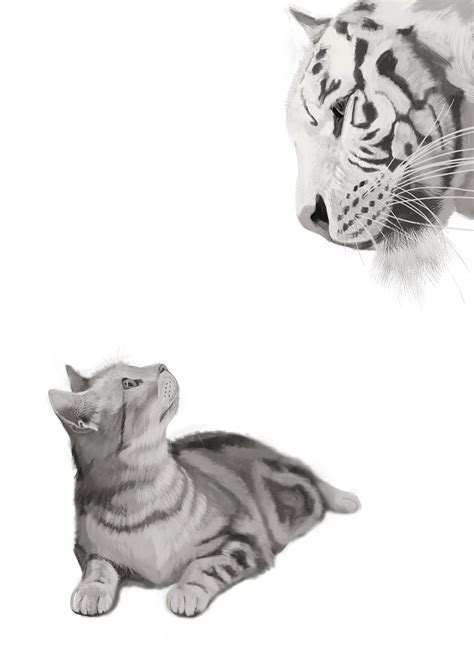 照猫画虎头像 高清好看有创意猫咪画老虎的图片抖音头像_动物头像_头像屋