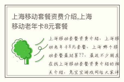 上海移动套餐资费介绍,上海移动老年卡8元套餐-兔宝宝游戏网