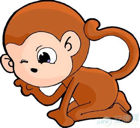 属猴的几月出生最好运势 属猴11月生的人的命运