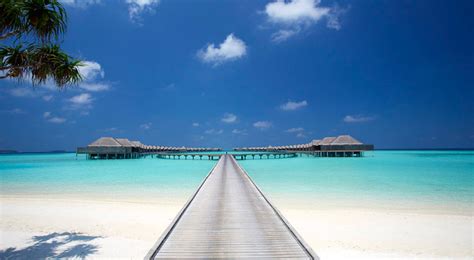 马尔代夫白金岛度假怎么样