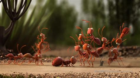 蚂蚁团队图片大全-蚂蚁团队高清图片下载-觅知网