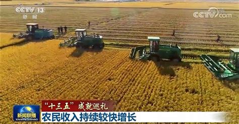 十三五”成就巡礼】农民收入持续较快增长|界面新闻 · 中国
