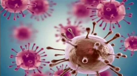 病毒细胞的繁殖过程图片素材-正版创意图片600198754-摄图网