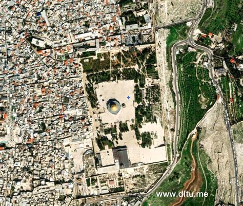 包含北京儿童医院、石景山区跑腿代挂专家号，预约成功再收费的词条