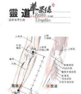 灵道的准确位置图图片