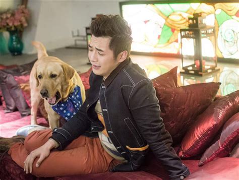 《神犬小七》热播 纪录片《狗狗在中国》将映_凤凰娱乐