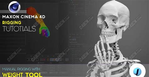 C4D人物骨骼绑定刷权重教程 Cinema 4D Rigging BASICS-菜鸟素材