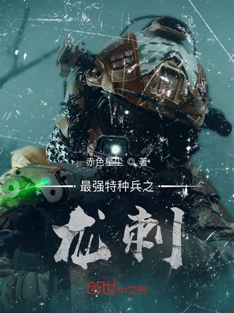 《最强特种兵之龙刺》小说在线阅读-起点中文网
