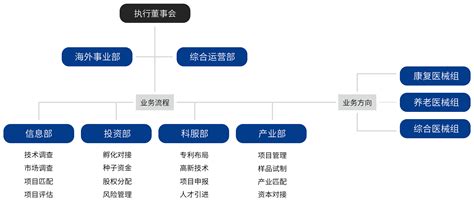 组织框架 - 武汉康养科技投资中心