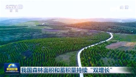 中国森林覆盖率最高的10个省份