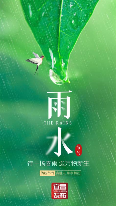 今日雨水，宜昌天气..._澎湃号·政务_澎湃新闻-The Paper