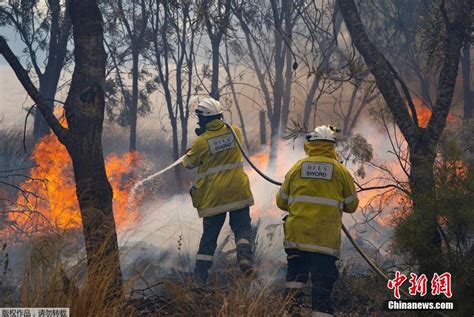 澳大利亚西部发生森林大火 浓烟遮天蔽日 - 头条轮播图8.5 - 新湖南