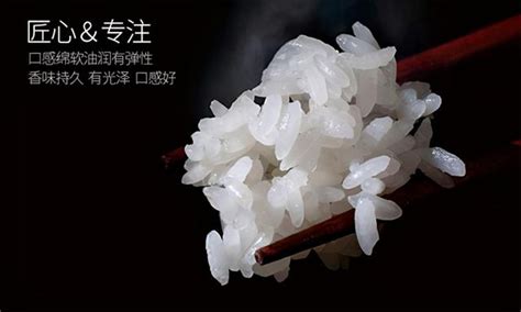银川粮食生产有望实现“二十连丰”-宁夏新闻网
