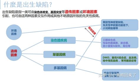 广州划分高中低风险区，与以往有何不同？疾控专家解读-荔枝网