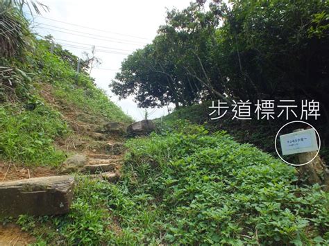 山姆·卡卡兰德 的图像结果