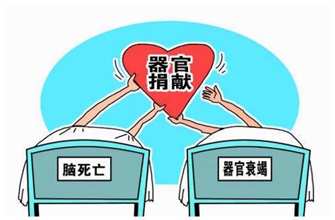 中国器官捐献志愿登记人数破百万，器官捐献协调员工作仍困难重重__凤凰网