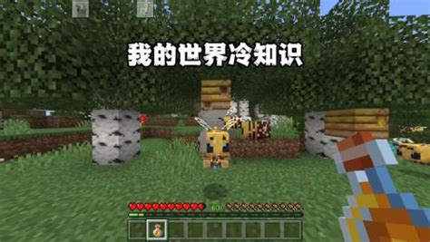 我的世界_[标签:标题1]