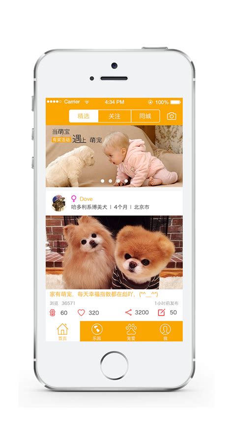 宠物交友app界面设计|UI|APP界面|RachelLee7 - 原创作品 - 站酷 (ZCOOL)