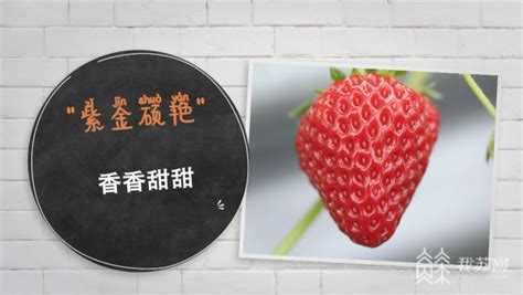 【自制高颜值特饮-草莓桃桃气泡水的做法步骤图】土豆饭饭_下厨房