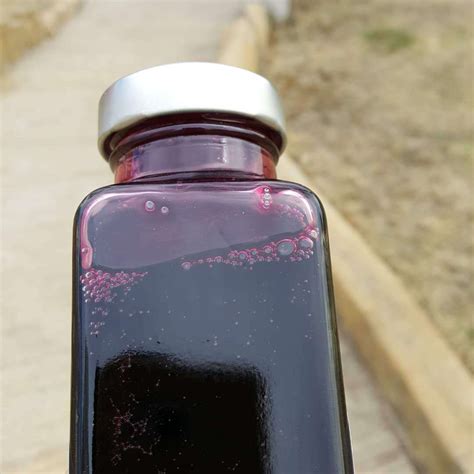 【麦金利野生蓝莓原浆·16瓶】-惠买-正品拼团上惠买