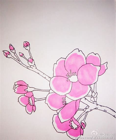 桃花简笔画教程图片 水彩上色桃花的画法 好看的桃花怎么画[ 图片/9P ] - 才艺君