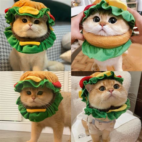 猫咪汉堡头套项圈帽子卡通宠物薯条围兜搞怪服饰伊莉莎白圈-阿里巴巴