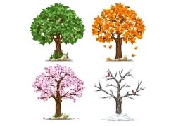 树木变化图片免费下载_树木变化素材_树木变化模板-图行天下素材网