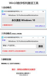W10数字许可激活C#版v3.7 在线版下载（暂未上线）-Windows10数字许可激活工具最新版下载-55手游网