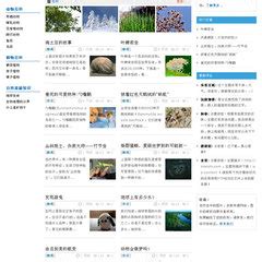 中文 - 网页设计模板 免费下载 - 爱给网