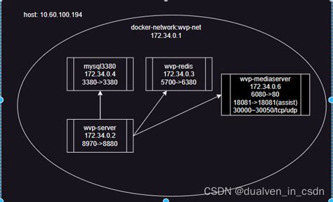 使用 Docker 快速体验 WVP GB28181 视频平台_wvp docker-CSDN博客