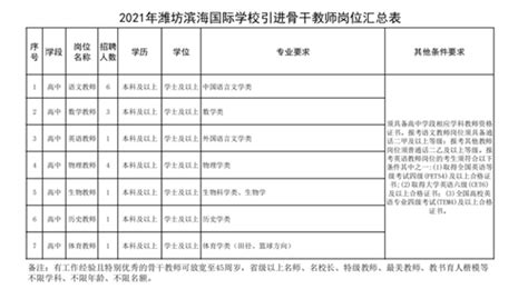 2021年潍坊滨海国际学校招聘骨干教师17名简章-公务员/事业单位考试-潍坊考试信息网
