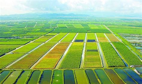 中国农业的智慧升级路：未来小农户将成高收入群体_智慧农业-农博士农先锋网