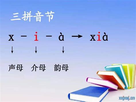 23个声母、24个韵母表、16个整体认读音节汇总_word文档在线阅读与下载_文档网