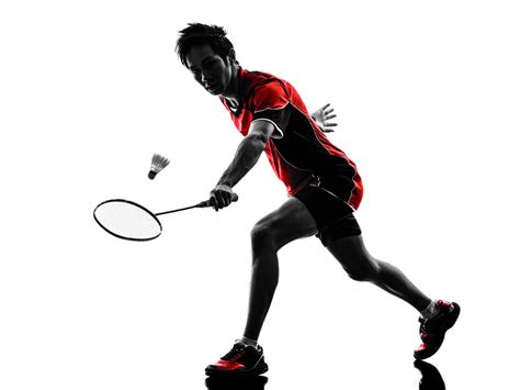 羽毛球上网步法动作讲解，打羽毛球如何打得更聪明_楚天运动频道_新浪博客