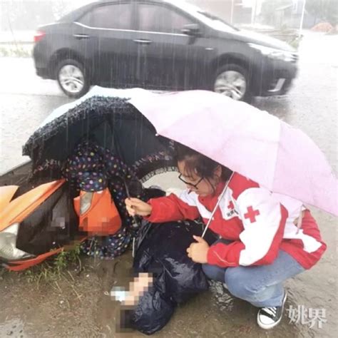 宁波市红十字会 应急救护 红十字生命教育 | 余姚“撑伞姐”又出手了！上班途中路遇车祸，她及时出手引网友怒赞