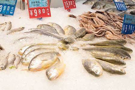在菜场开一个卖鱼的摊需要多少钱,以下信息要了解！_加盟星百度招商加盟服务平台