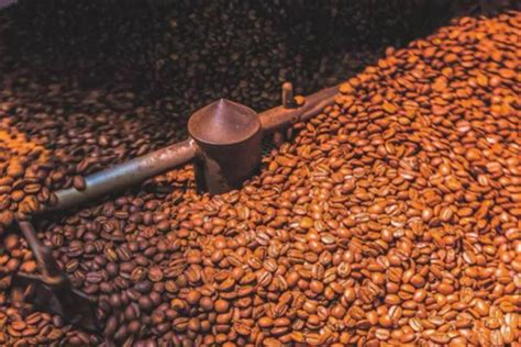 世界十大顶级咖啡豆，瑰夏咖啡上榜，第七是世界上最昂贵的咖啡_排行榜123网