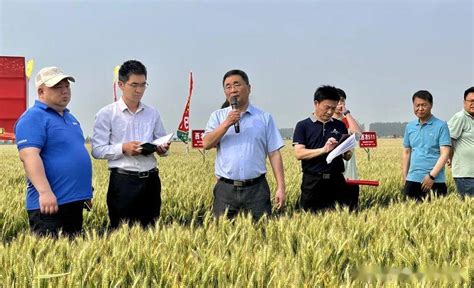 杨凌农高区：用良种良技保障粮食安全_中国农科新闻网