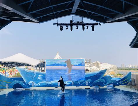 2023上海海昌海洋公园游玩攻略,【人鱼童话】是这里最震撼人...【去哪儿攻略】